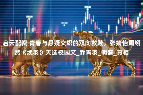 启云配资 青春与悬疑交织的双向救赎，张婧怡周翊然《焕羽》天选校园文_乔青羽_明盛_真相