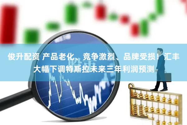 俊升配资 产品老化、竞争激烈、品牌受损！汇丰大幅下调特斯拉未来三年利润预测