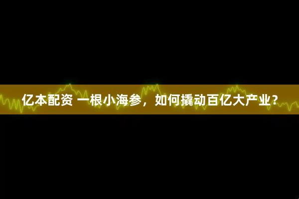 亿本配资 一根小海参，如何撬动百亿大产业？