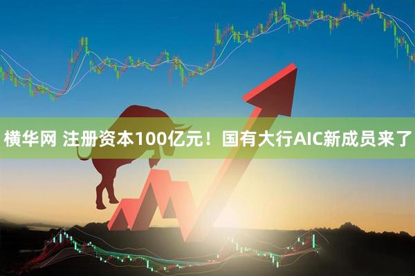 横华网 注册资本100亿元！国有大行AIC新成员来了