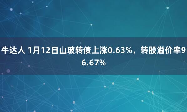牛达人 1月12日山玻转债上涨0.63%，转股溢价率96.67%